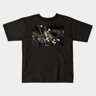 Wattle Flowers Kids T-Shirt